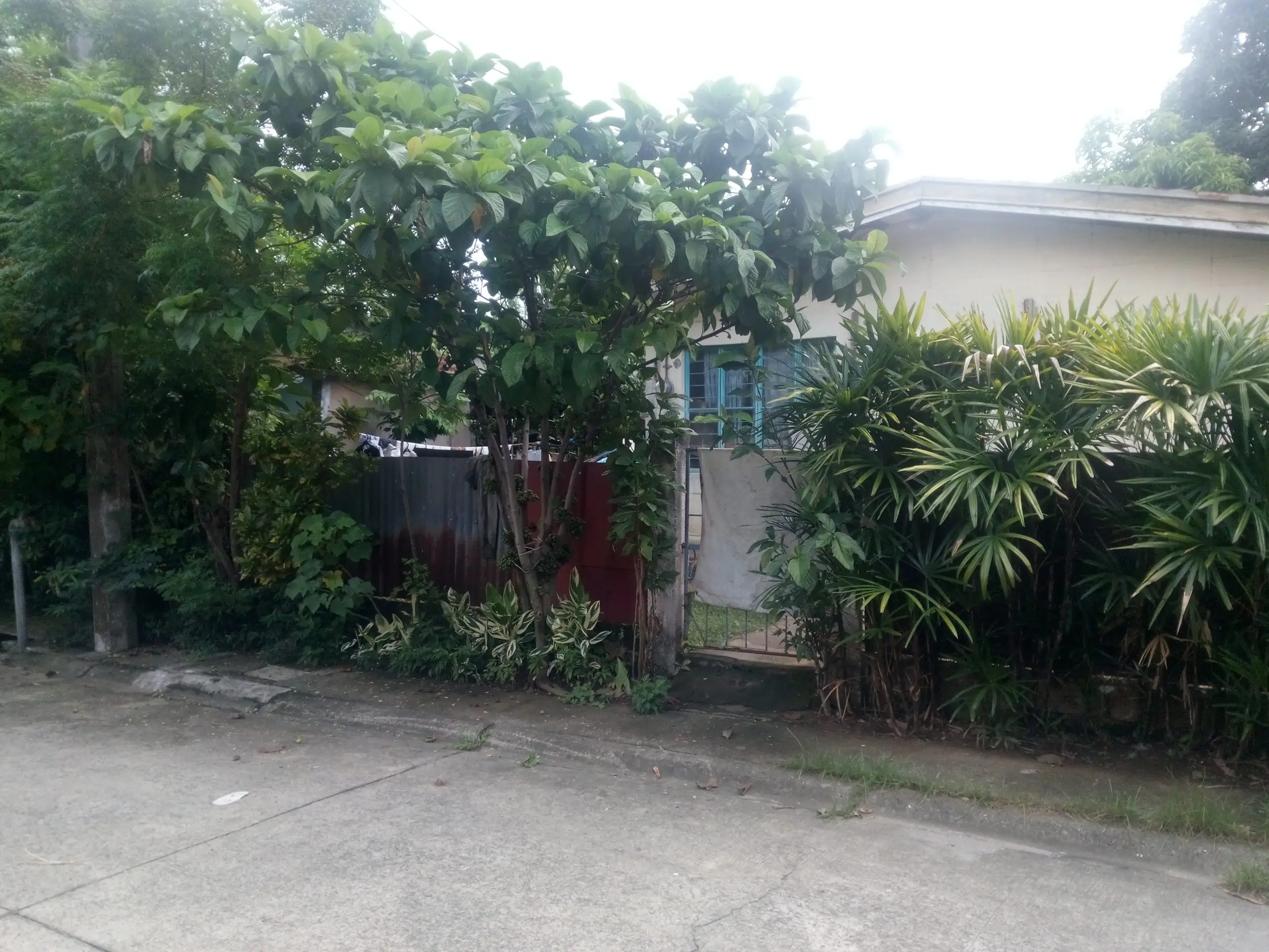 Property 47